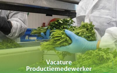 Productiemedewerker